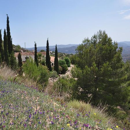 Boutique B&B El Refugio อัลเกาซิน ภายนอก รูปภาพ